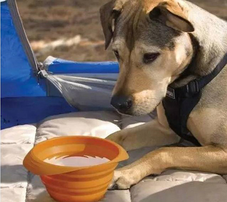 東莞帝博矽膠製品廠